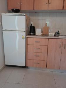 "Village Petrina" Sevasti Symi Studios