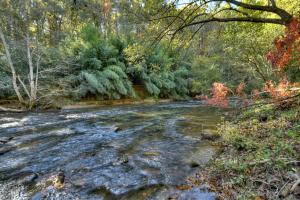 Creekside Bend - Creekfront on Fightingtown Creek - Hot Tub, Outdoor Fireplace, Game Room, Views, Creekside Fishing Access - Fig