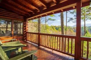 Hog Heaven - Cherry Log GA - Pet Friendly Cabin - Cherry Log