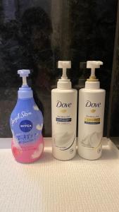 Sound Garden Biei, Cricket