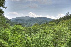 Ole Bear Paw Cabin - Cherry Log GA - Cozy Retreat, Stunning Views, Hot Tub, Outdoor Fire Pit, Porch Swing