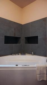 Hotels Hotel la Fete en Provence : Studio avec Baignoire Spa