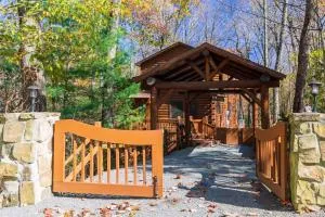 Wine Down - Blue Ridge GA - Pet Friendly - Cozy Cabin, Spacious Skies, Great Privacy, Hot Tub - Cherry Log, GA - Burnett