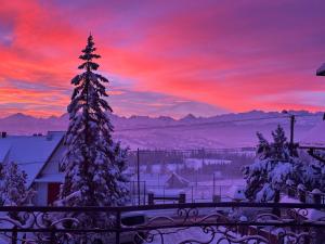 Pokoje Gościnne Góraleczka