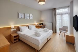Executive Double Room room in Hotel Carol