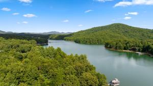 The Loose Caboose - Blairsville GA - Lake Views, Cozy Fireplace, Screened Porch, Free Firewood, Corn Hole Boards, Tire Swing, Ha