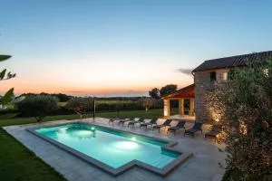 Sole DiVino - Rošini