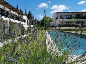 Appartements A GAUGUIN Cyclistes Ventoux : photos des chambres
