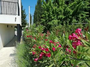 Appartements A GAUGUIN Cyclistes Ventoux : photos des chambres