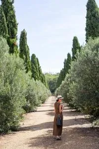 Seigneurie de Peyrat - Alignan-du-Vent