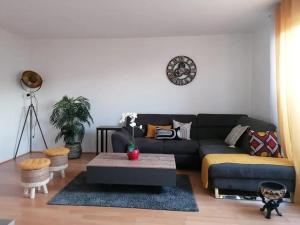 Olympe Stade de France