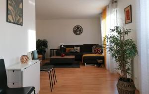 Olympe Stade de France