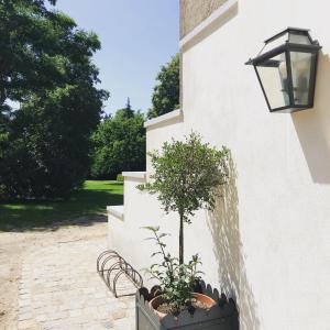 Gutshaus Volzrade Hotel & Ferienwohnungen in Elbnähe