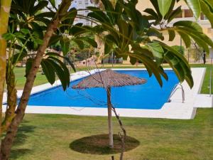 Noctua Estepona Puerto Alto 018