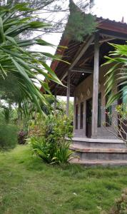 West Bali Menjangan Tour