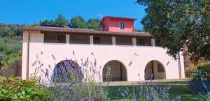 azienda agricola lo zolfino - Paterna