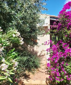 Terrazza Paradiso img22