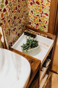 Apartament Shahrazad