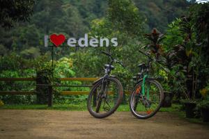 Edens Munnar
