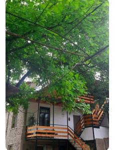 Melano apatment - Unrated properties in Borjomi