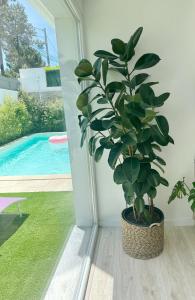 Amora Villa - Relaxing Oasis, 10 mins to beach, near Lisbon