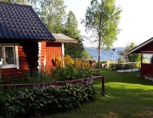 Lipetti, New Sauna, Budget week