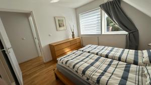 Cozy Villa apartment