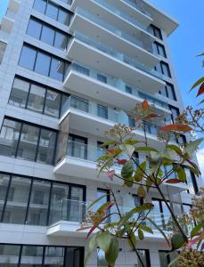 Bel Air Apartments Mamaia Nord