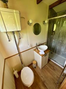 Lintmill Lodges - Thistle Shepherds Hut