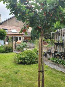 Maisons d'hotes La Casetta : Chambre Familiale avec Terrasse 