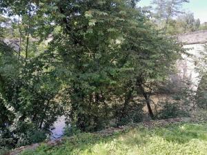 Appartements Appartement privatif en bord de riviere : Appartement 1 Chambre