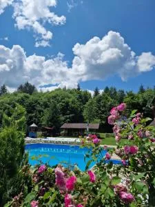 Pensiunea Andreea - Sebeş