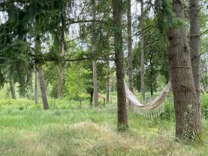 Chalets Le refuge de Chambord : photos des chambres