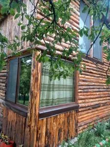 Casa Georgia Nucșoara - Brădetu