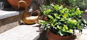 Sunny Days beach house