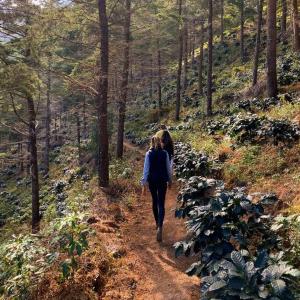 Cabaña en las Montañas de El Trifinio