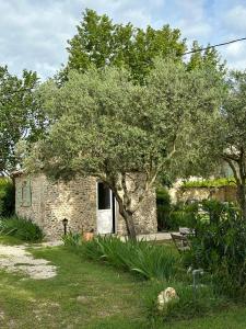 B&B / Chambres d'hotes Maisonnette independante au calme dans un grand jardin : photos des chambres
