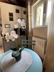 B&B / Chambres d'hotes Maisonnette independante au calme dans un grand jardin : photos des chambres