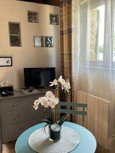 B&B / Chambres d'hotes Maisonnette independante au calme dans un grand jardin : photos des chambres