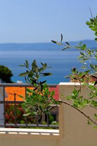 Penthouse Vanja
