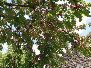 Ubytování u Natálky