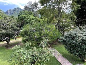 Lovely one bedroom apartment surrounded by nature