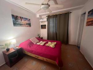 Hotel Tierra Verde Bed and Breakfast