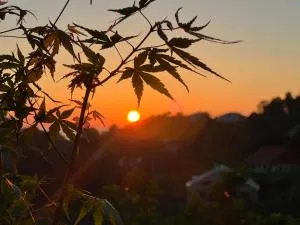 Семейная гостиница Гантиади - Kapreshumi