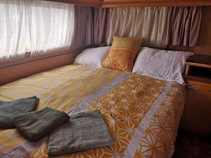 Počitniška prikolica Zeleni raj 