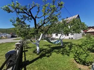 Apartment Milka - 科雷尼察