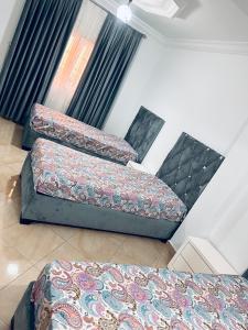 Panorama bir El djir oran