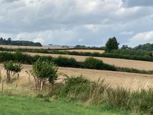 Ox Box Cabin Lyonshall Kington
