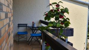 Appartements Appartement lumineux dans residence calme et arboree : photos des chambres