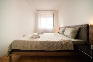 Harizma apartmani - Vista